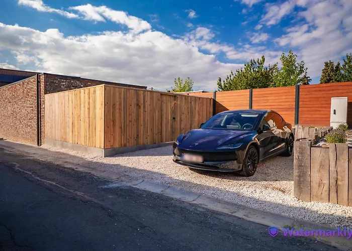 Loxodonta - 4 Pers Proche De Pairi Daiza Brugelette